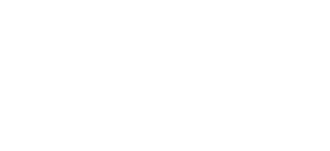 Logo J. Netto branco